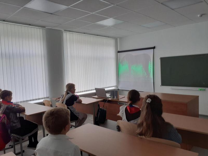 Всероссийский урок Тигра.